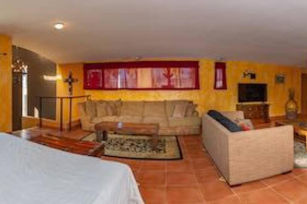 Fabulous Oceanfront Estate, Sleeps 24 Pool Jacuzzi Villa La Bloquera Exterior photo